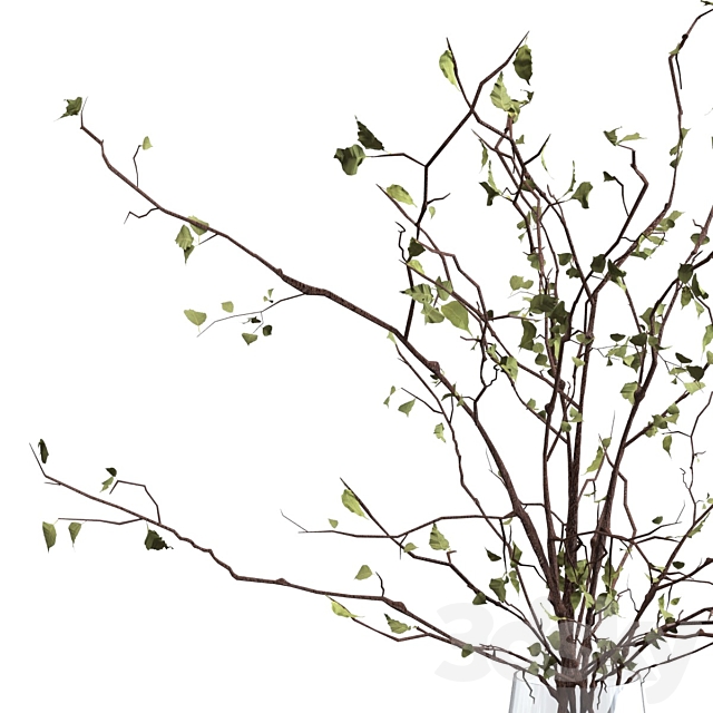 Branches in a vase 3DSMax File - thumbnail 4