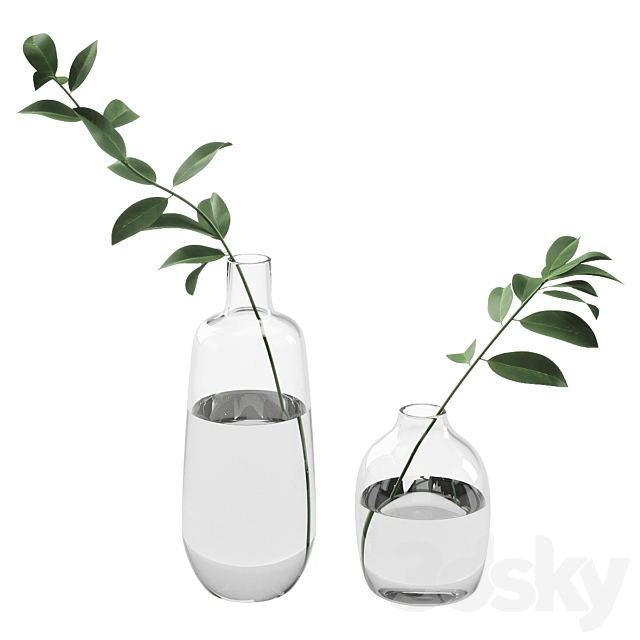 019 Branch in Bottle indoor plant 3DSMax File - thumbnail 1