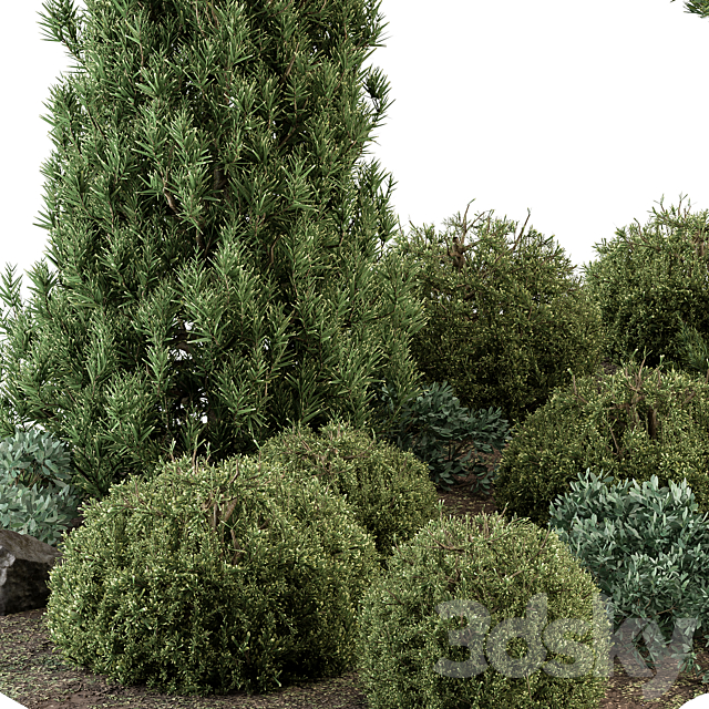 Garden Set Topiary and pine Plants – Outdoor Plants Set 410 3DSMax File - thumbnail 2