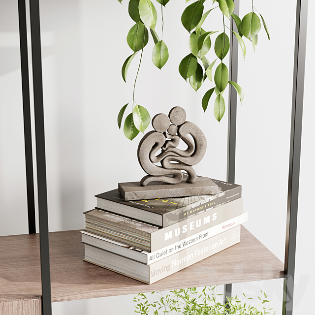 Metal Shelves Decorative With Plants and Book - Wooden Rack 01 3dmodel