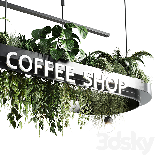 Coffee shop reception. Restaurant counter by  hanging plant - corona 01 3dsky