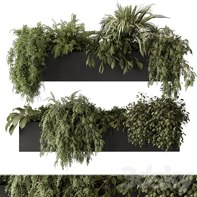 indoor Plant Set 297 – Hanging Plants 3DSMax File - thumbnail 1