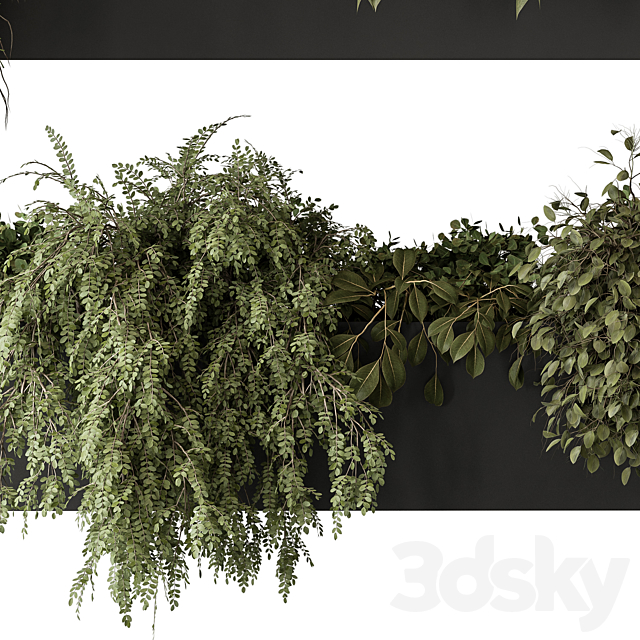indoor Plant Set 297 – Hanging Plants 3DSMax File - thumbnail 3