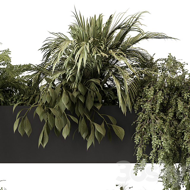 indoor Plant Set 297 – Hanging Plants 3DSMax File - thumbnail 4