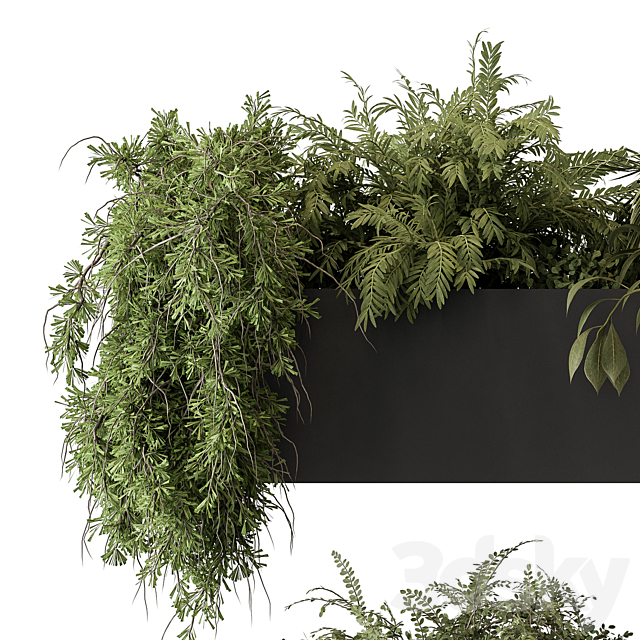 indoor Plant Set 297 – Hanging Plants 3DSMax File - thumbnail 5