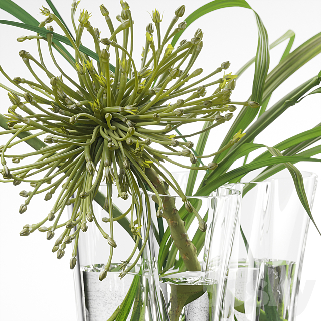 Decor set 047 with green plants AALTO VASE 3dsky