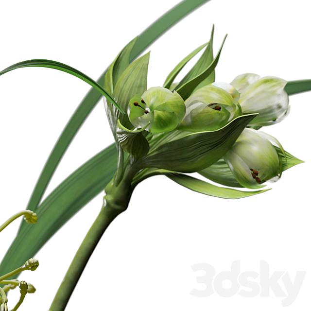 Decor set 047 with green plants AALTO VASE 3dskyfree
