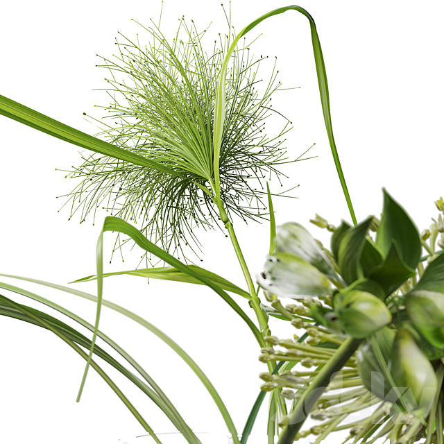 Decor set 047 with green plants AALTO VASE 3dmodel