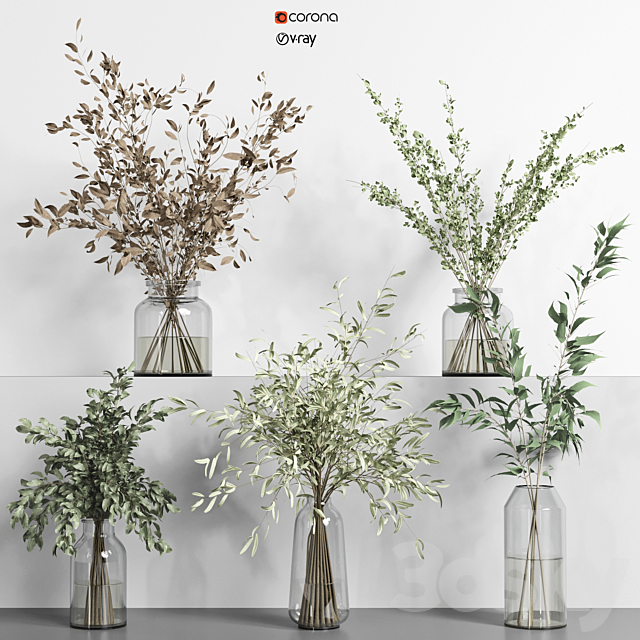 collection of indoor plants Vol01 3DSMax File - thumbnail 1
