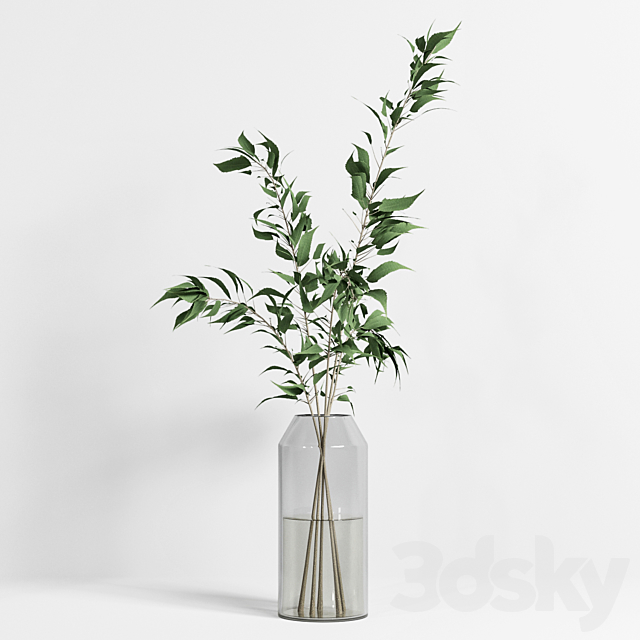 collection of indoor plants Vol01 3DSMax File - thumbnail 3
