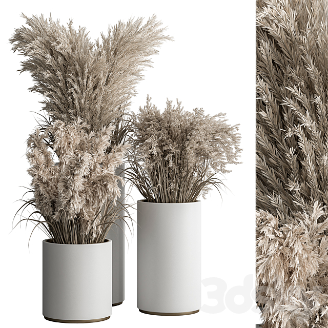 indoor Plant Set 406 – Dried Plant Set in Pot 3DSMax File - thumbnail 1