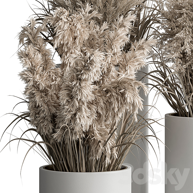 indoor Plant Set 406 – Dried Plant Set in Pot 3DSMax File - thumbnail 2