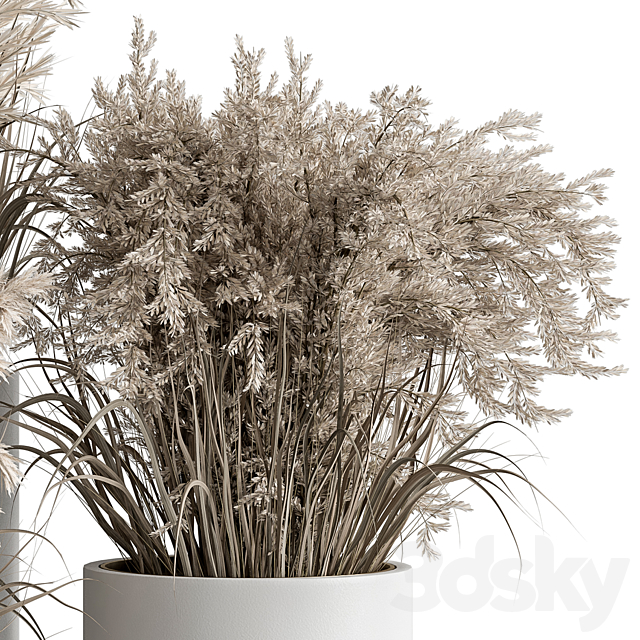 indoor Plant Set 406 – Dried Plant Set in Pot 3DSMax File - thumbnail 3
