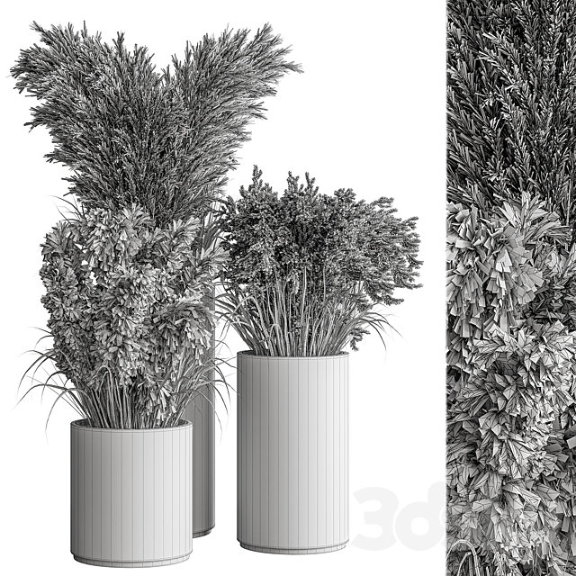 indoor Plant Set 406 – Dried Plant Set in Pot 3DSMax File - thumbnail 5