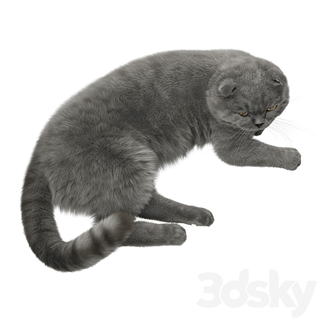 3dsky Free Download