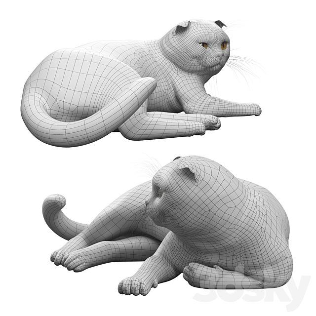 CAT 7 Corona 3dskyfree