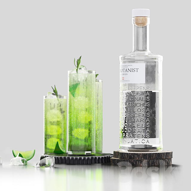 The Botanist gin and mojito with ice 3d