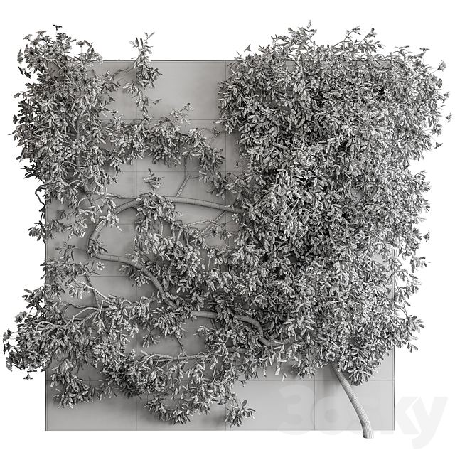 3dsky