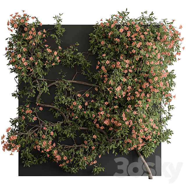 Outdoor Plant Set 426- Ivy on Wall Free Download