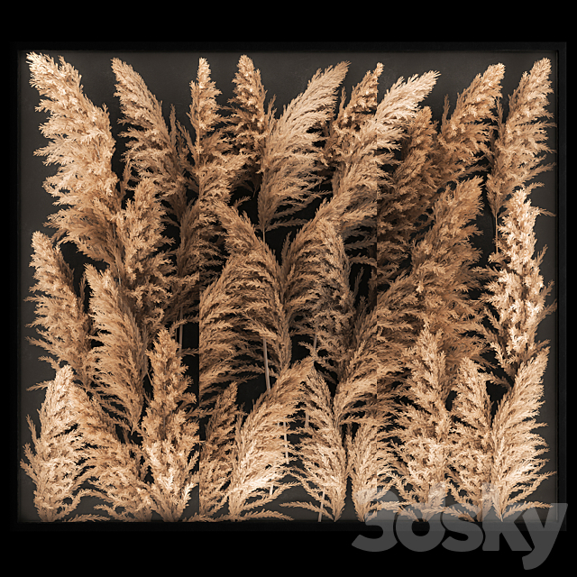 Phytostena of dried flowers behind glass made of reeds. pampas grass. wall decoration made of Cortaderia. 258. 3DSMax File - thumbnail 2