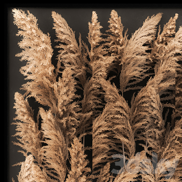 Phytostena of dried flowers behind glass made of reeds. pampas grass. wall decoration made of Cortaderia. 258. 3DSMax File - thumbnail 3
