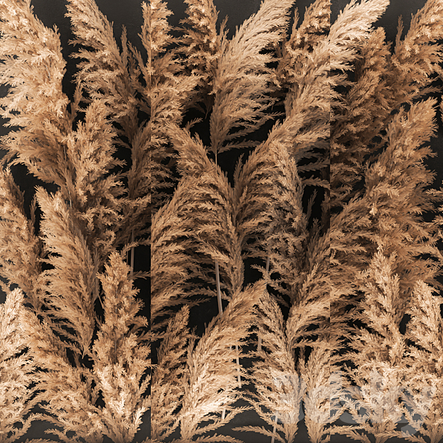 Phytostena of dried flowers behind glass made of reeds. pampas grass. wall decoration made of Cortaderia. 258. 3DSMax File - thumbnail 4
