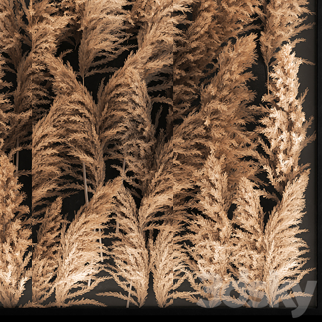 Phytostena of dried flowers behind glass made of reeds. pampas grass. wall decoration made of Cortaderia. 258. 3DSMax File - thumbnail 5