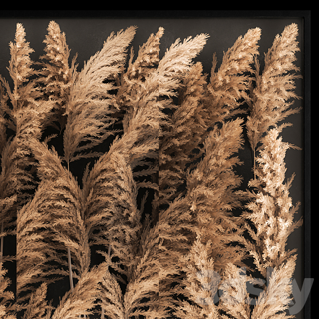 Phytostena of dried flowers behind glass made of reeds. pampas grass. wall decoration made of Cortaderia. 258. 3DSMax File - thumbnail 6