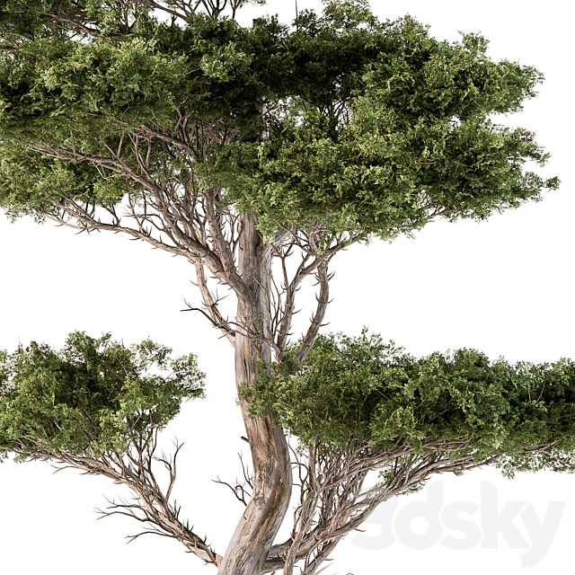 3dsky Free Download