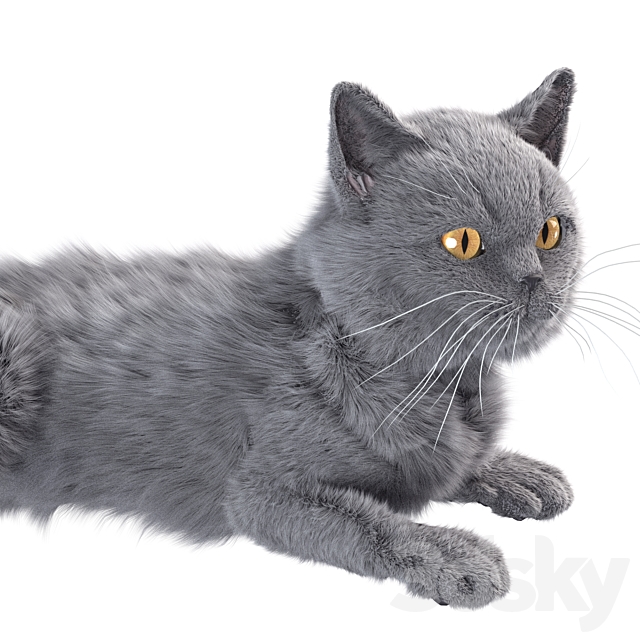 3dsky Free Download