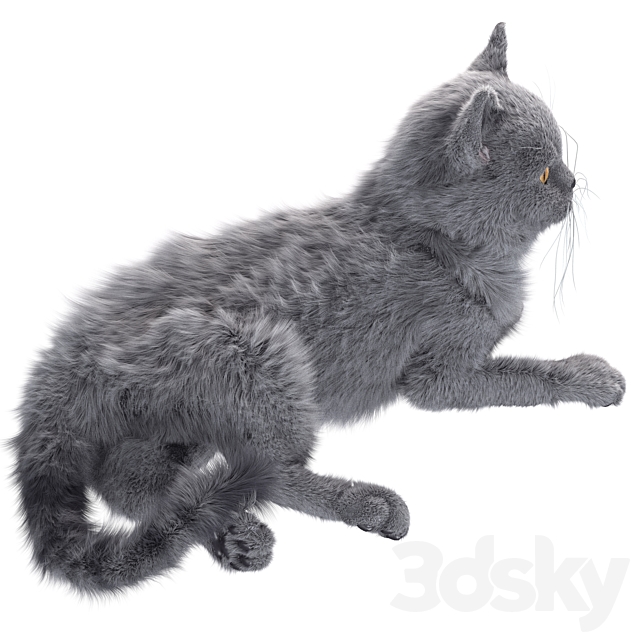 3dsky