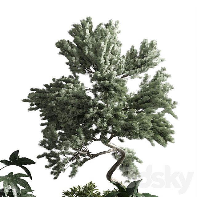 bonsai tree with plants set in the garden 290 corona 3DSMax File - thumbnail 4