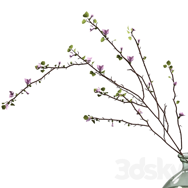 Branch with flowers in an asymmetric bottle 3dsky