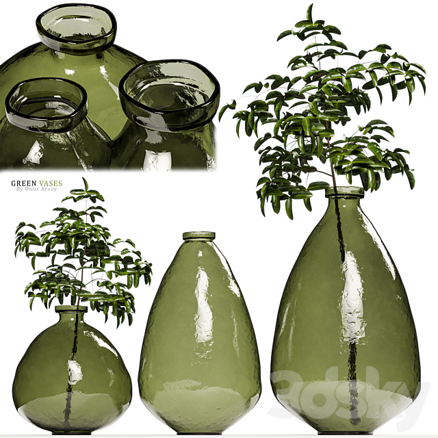 Zara Home – Green Glass Vases with Plants 3DSMax File - thumbnail 1