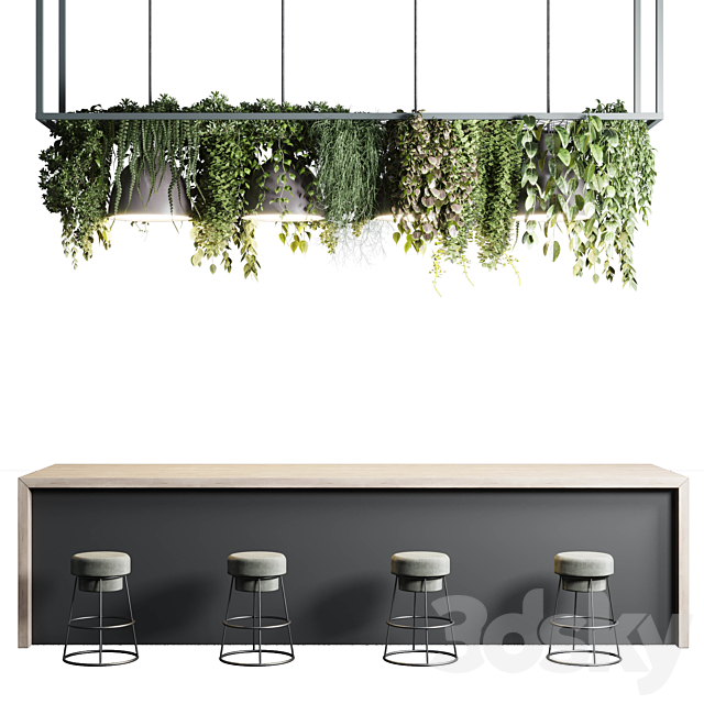 Coffee shop reception. Restaurant counter by hanging plant - 04 3d