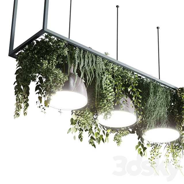 Coffee shop reception. Restaurant counter by hanging plant - 04 3dsky