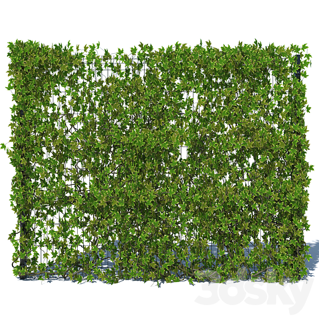 3dsky