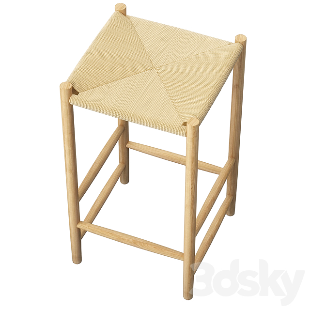 3D Model