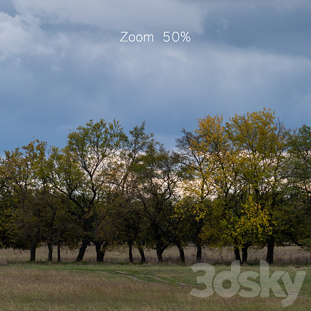 3dsky