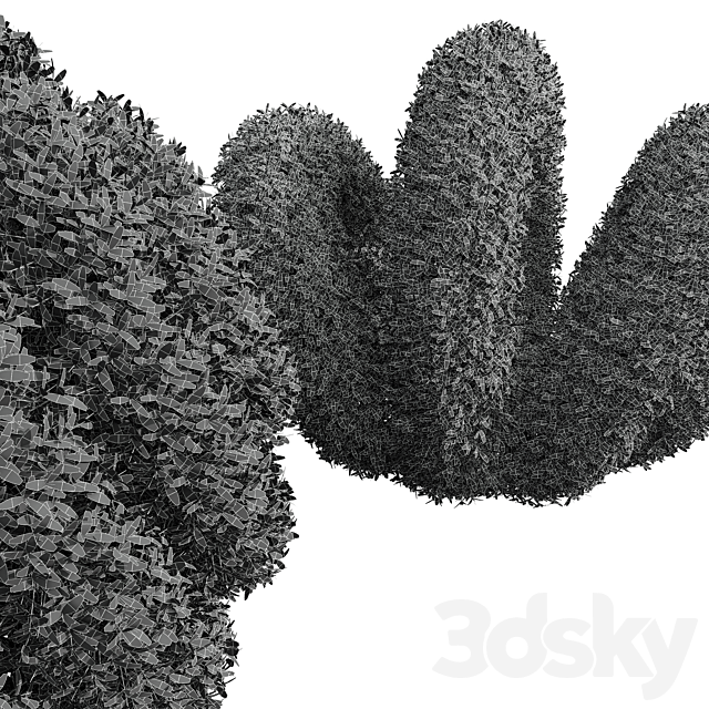 New Plant Bacopa Diffusa Sutera Decorative Ligustrum Quihoui Privet Pruned 3DS Max Model - thumbnail 5