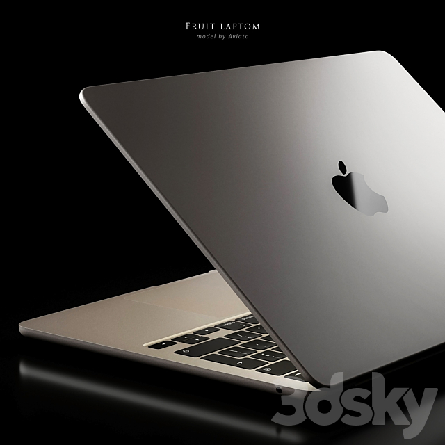 3D Model