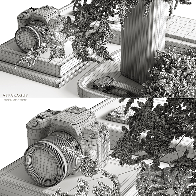 3D Model