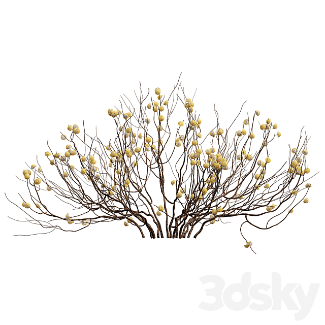 New Plant Edgeworthia Chrysantha Paperbush Viburnum Opulus Roseum Bush 3DS Max Model - thumbnail 3