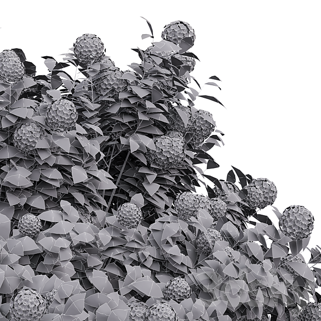 New Plant Edgeworthia Chrysantha Paperbush Viburnum Opulus Roseum Bush 3DS Max Model - thumbnail 6