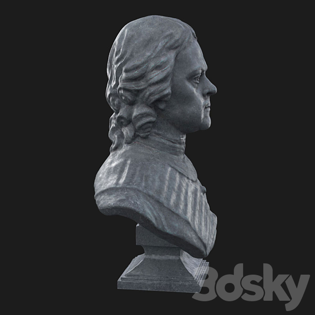 Bust of Peter the Great 3DSMax File - thumbnail 2