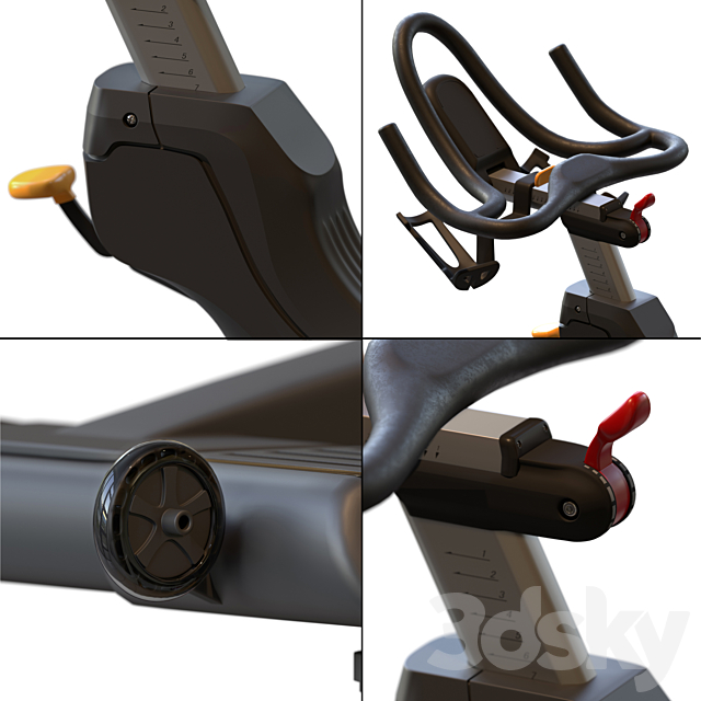3D Model