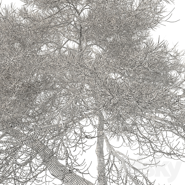 3D Model