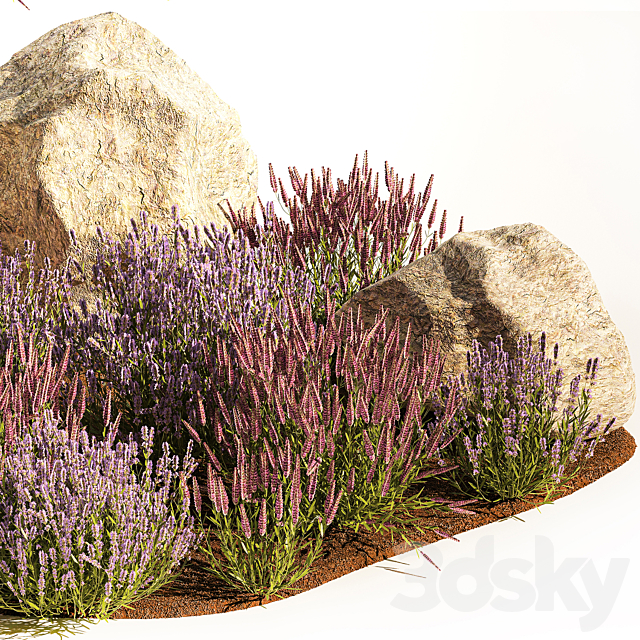 3dsky Free Download