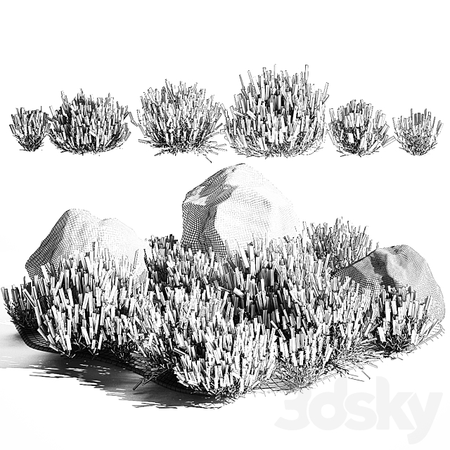 3D Model
