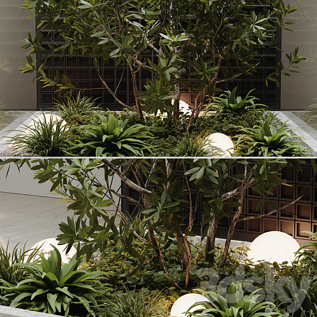 indoor plant set 60 3DSMax File - thumbnail 3